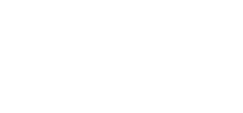 Disability Alliance BC